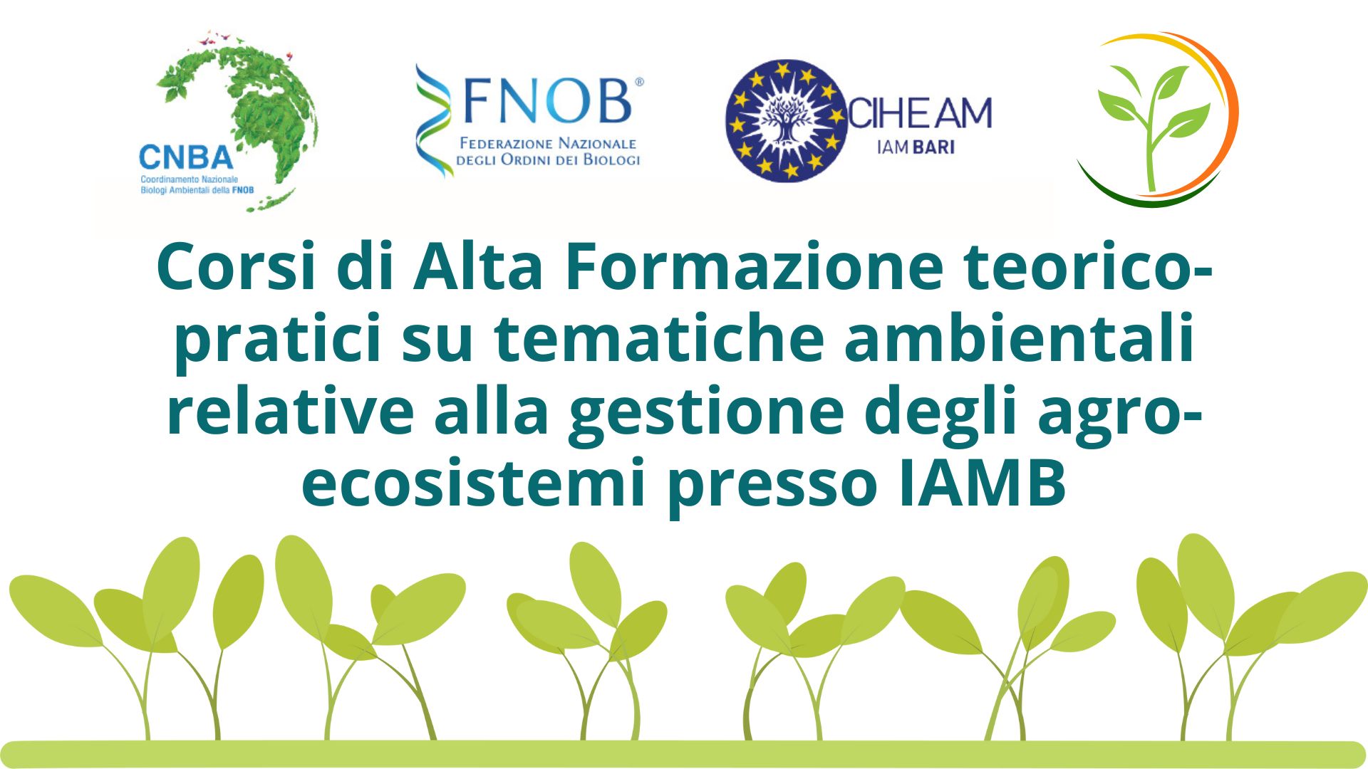 Clicca per accedere all'articolo Corsi di Alta Formazione in Gestione degli Agro-Ecosistemi presso lo IAMB di Bari