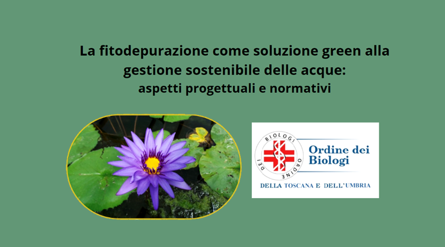 Clicca per accedere all'articolo La fitodepurazione come soluzione green alla gestione sostenibile delle acque: aspetti progettuali e normativi