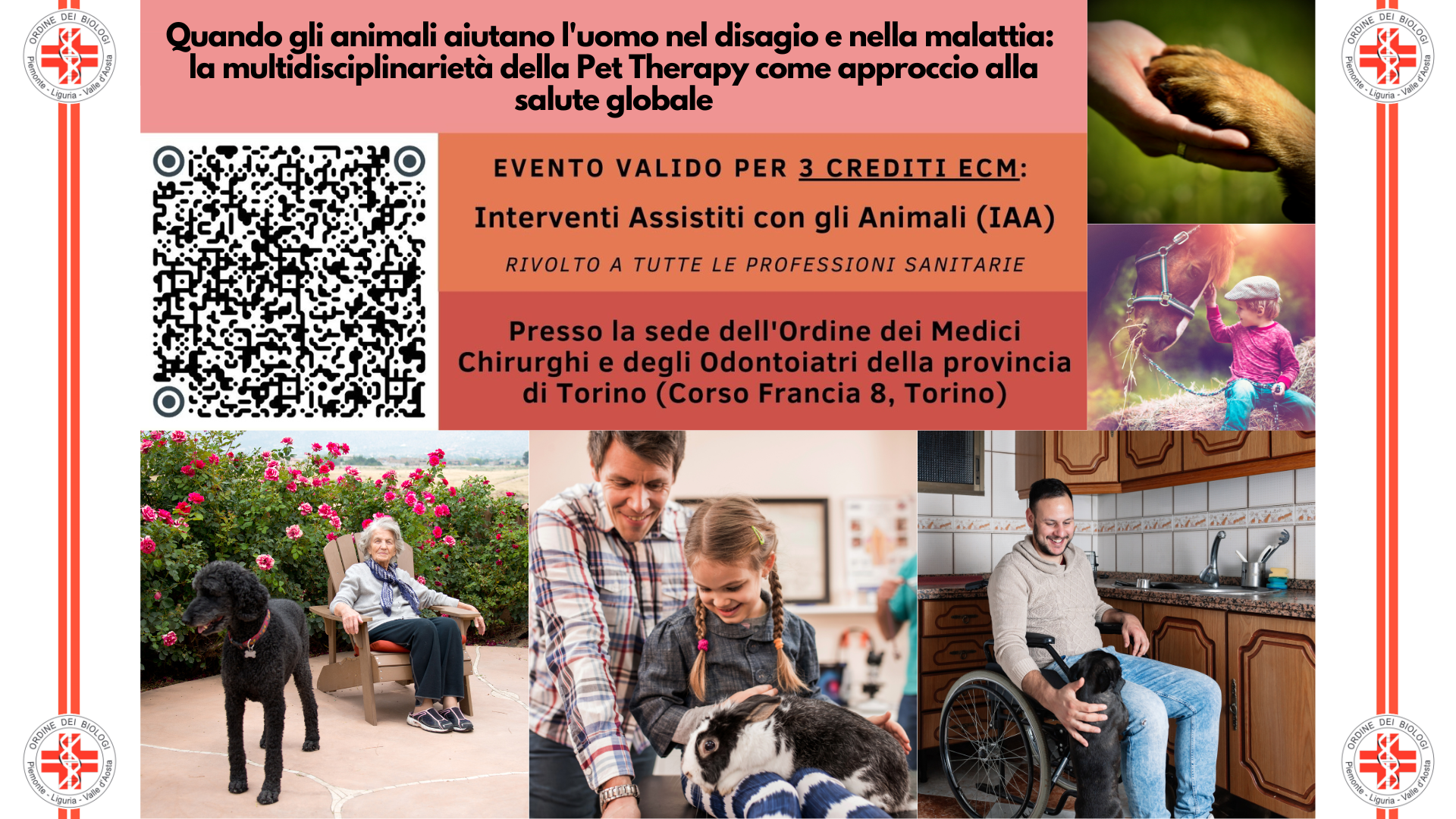 Clicca per accedere all'articolo Reminder: in arrivo l'evento ECM sugli Interventi Assistiti con Animali 