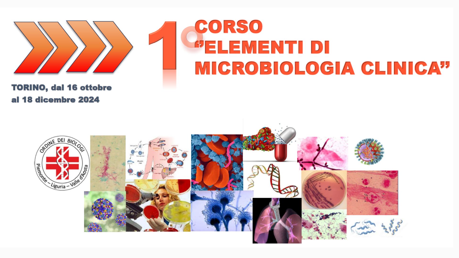 Clicca per accedere all'articolo 1° Corso di "Elementi di Microbiologia Clinica"