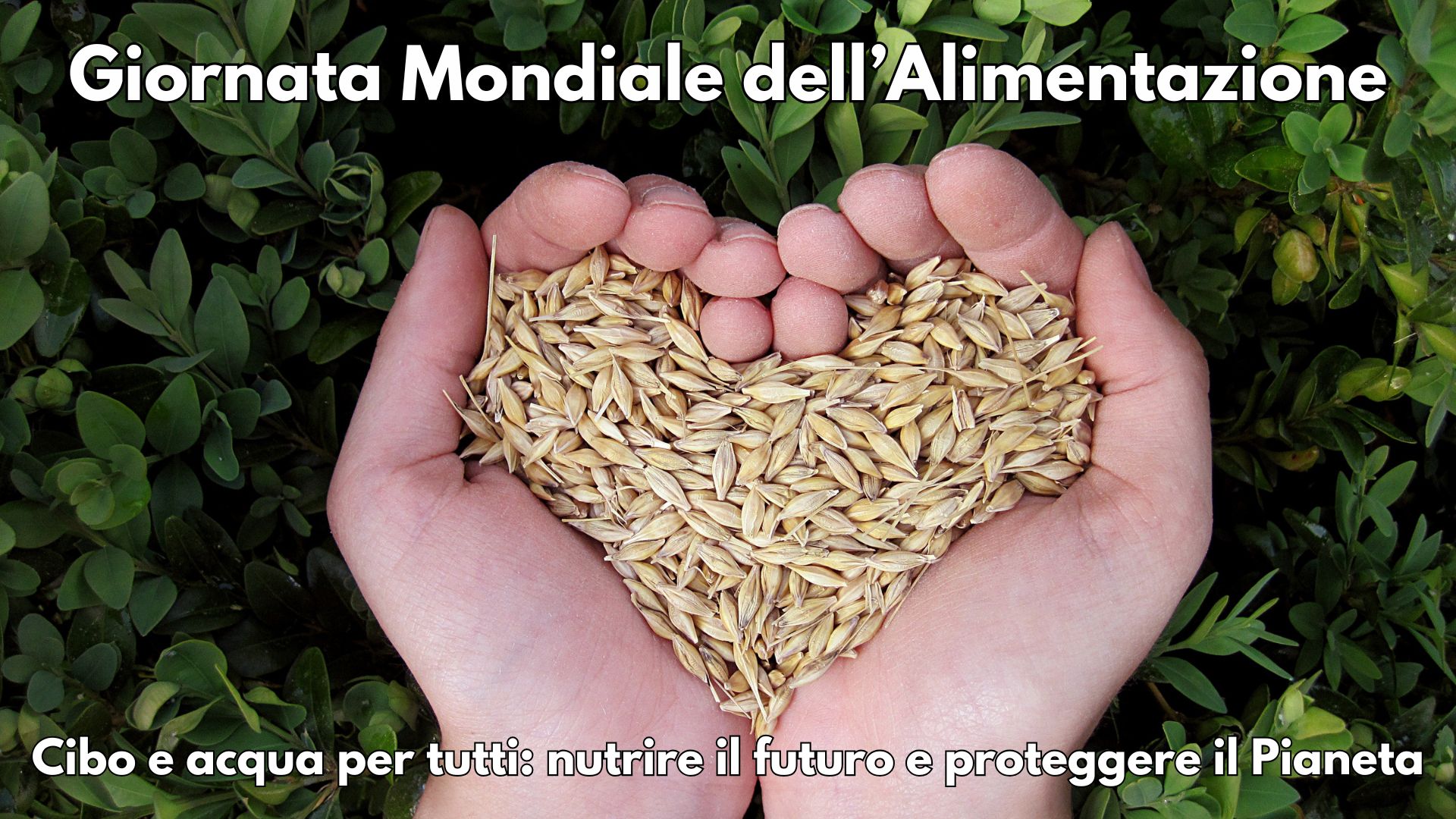 Clicca per accedere all'articolo Oggi, 16 ottobre: celebriamo la Giornata Mondiale dell'Alimentazione