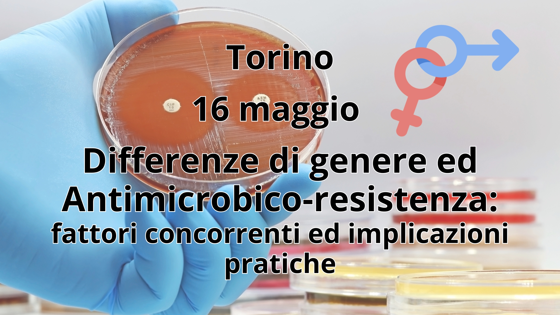 Clicca per accedere all'articolo Differenze di Genere e antimicrobico-resistenza: arriva a Torino un congresso per un approccio più mirato e consapevole
