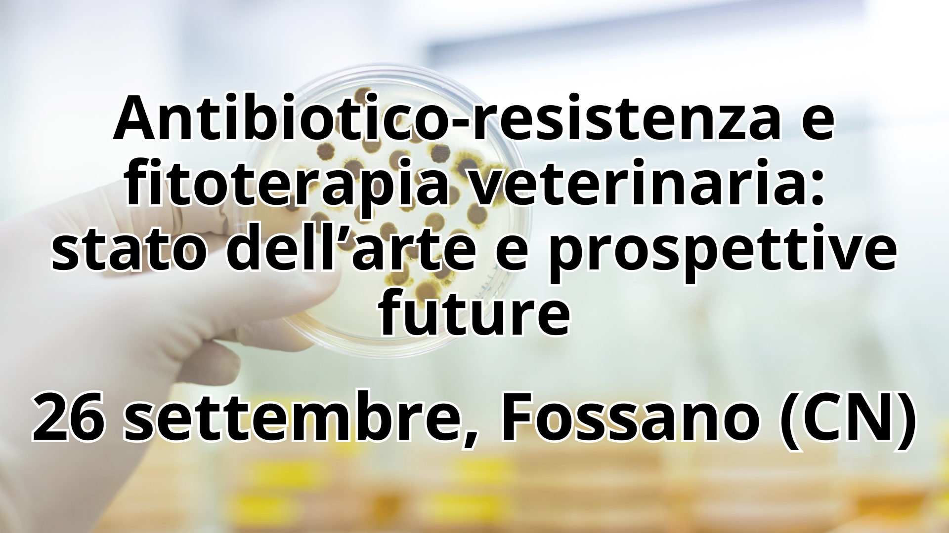 Clicca per accedere all'articolo Aggiornamento su antibiotico-resistenza e fitoterapia veterinaria: 26 settembre, Fossano