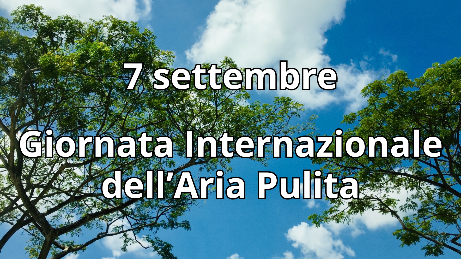 Clicca per accedere all'articolo Giornata Internazionale dell’Aria Pulita: ogni respiro conta