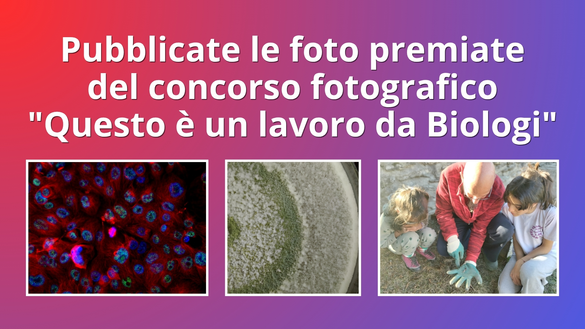 Clicca per accedere all'articolo Ecco le foto premiate del concorso fotografico OB PLV "Questo è un lavoro da Biologi"