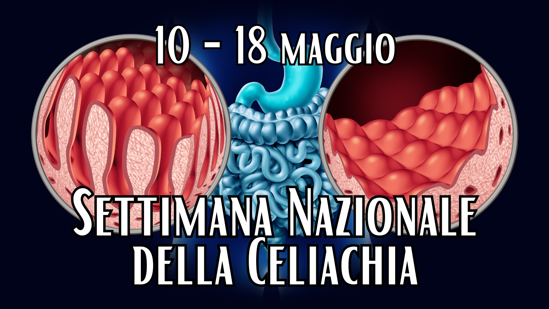 Clicca per accedere all'articolo Settimana Nazionale della Celiachia: dal 10 al 18 maggio