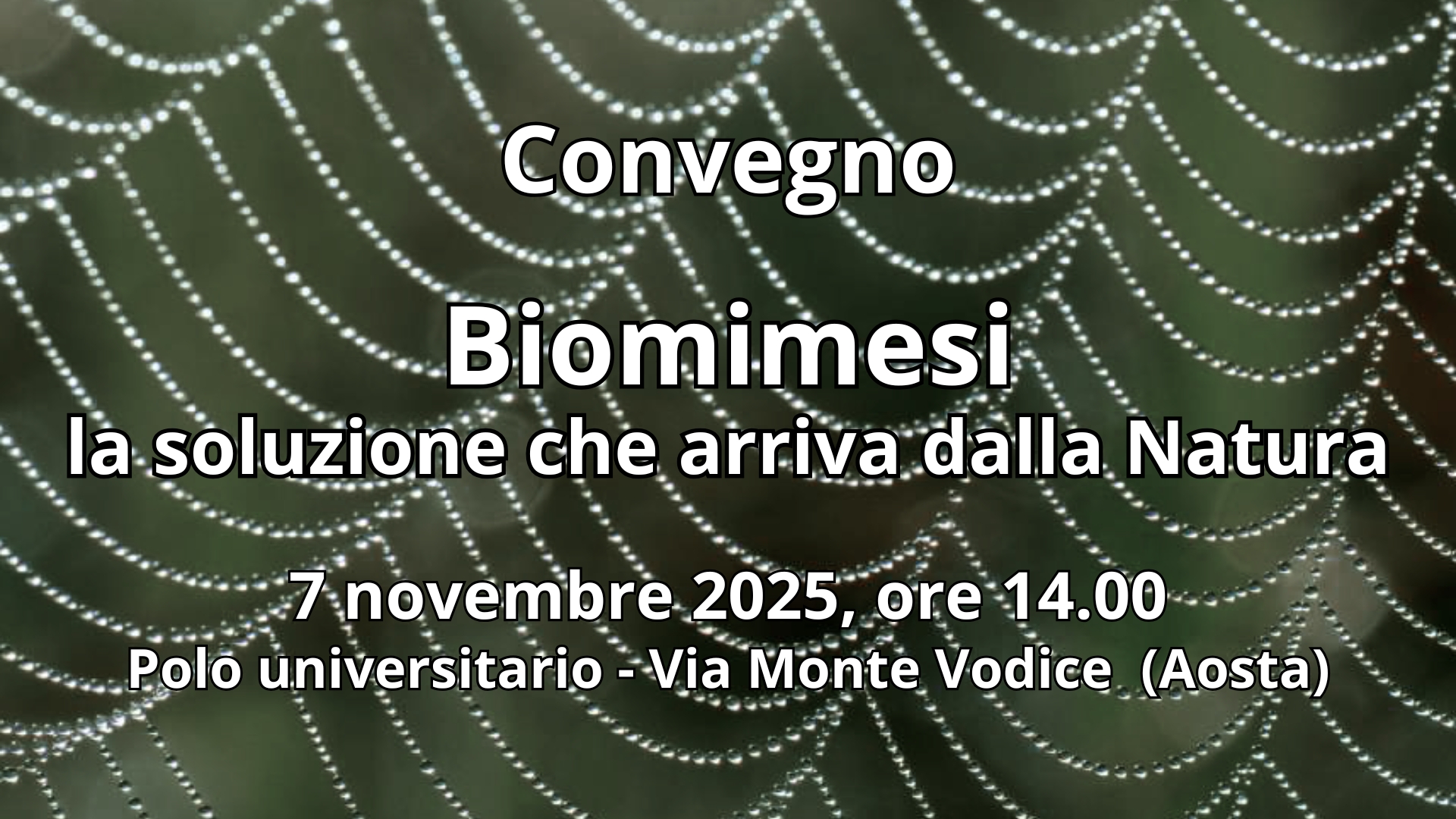 Clicca per accedere all'articolo Convegno "Biomimesi: la soluzione che arriva dalla Natura"