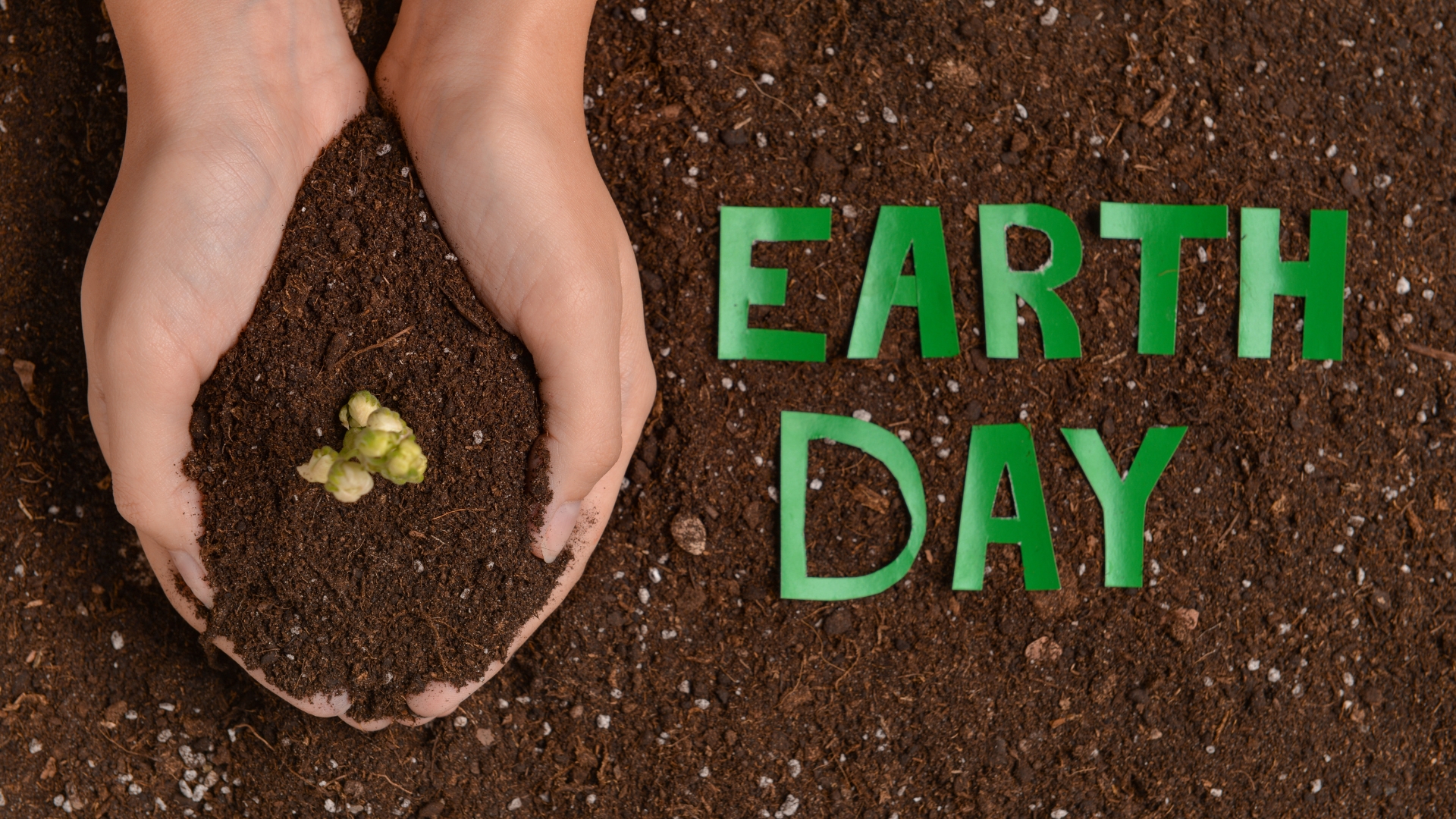Clicca per accedere all'articolo Oggi: Giornata Mondiale della Terra (Earth Day)